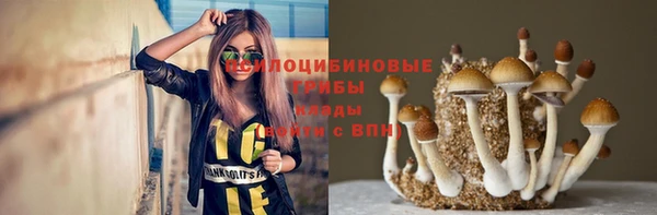 бутират Елабуга