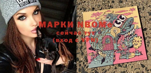 Альфа ПВП Елизово