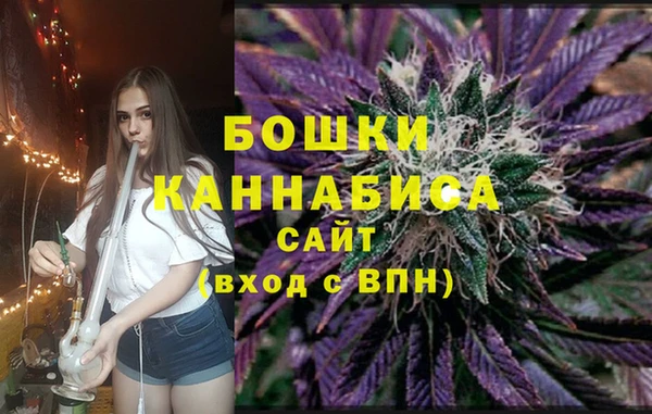 Альфа ПВП Елизово