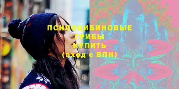 не бодяженный Ельня