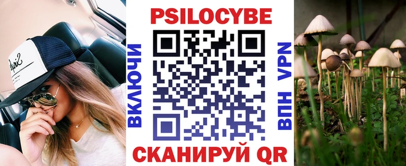 Купить закладки  Тогучин  Псилоцибиновые грибы Cubensis 